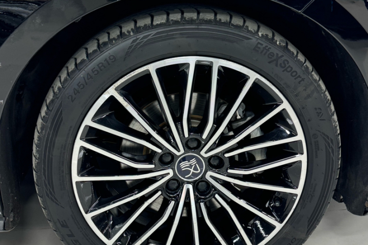 比亚迪 汉 2021款 EV 标准续航版豪华型车身外观6010