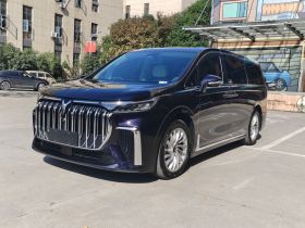 岚图汽车 岚图梦想家 2022款 低碳版 想+智驾包