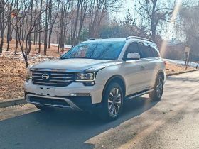 广汽传祺 传祺GS8 2017款 320T 两驱豪华智联版（七座）