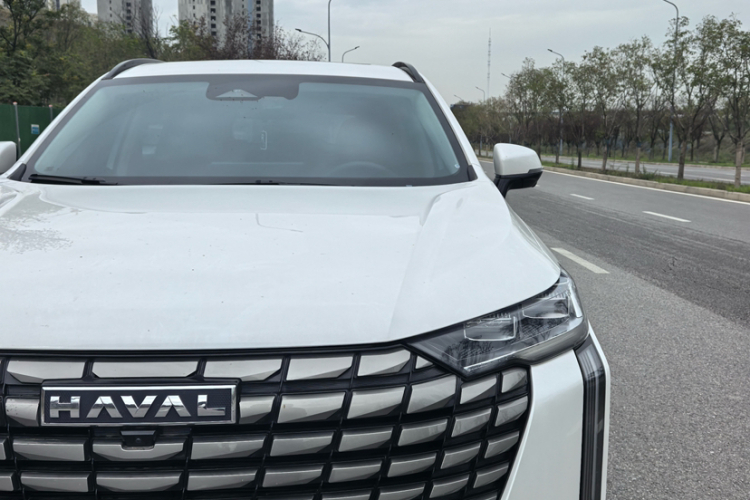 哈弗H6 2024款 2.0T 四驱Max车身外观6004