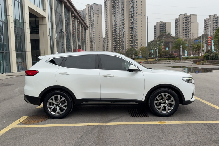 哈弗H6 2021款 国潮版 1.5T 自动冠军版车身外观6002