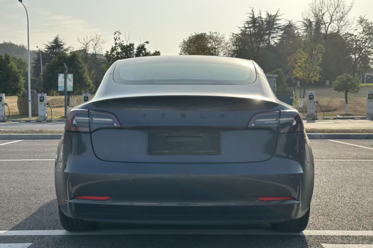 特斯拉 Model 3 2020款 标准续航后驱升级版车身外观6004