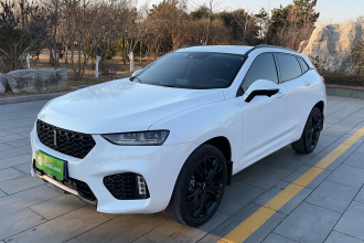 魏牌 VV7 2019款 升级款 2.0T 旗舰型 国VI