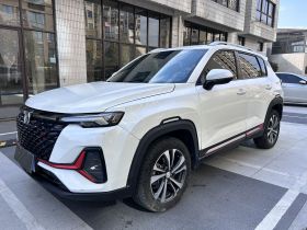 长安CS35PLUS 2021款 改款 蓝鲸NE 1.4T DCT豪华型