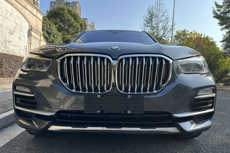 宝马X5(进口) 2020款 xDrive30i X设计套装中控内饰7013