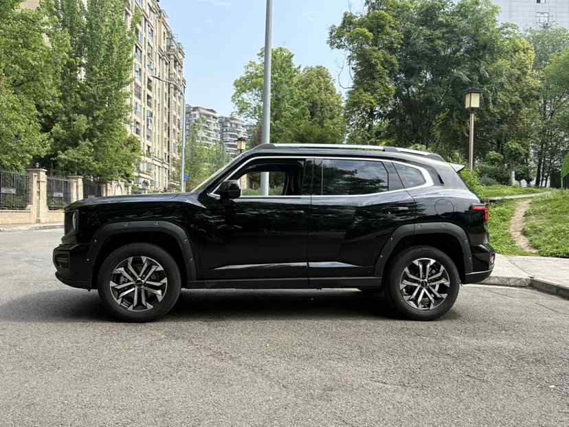 哈弗大狗 PLUS 2023款 2.0T 两驱潮野版Plus(4)
