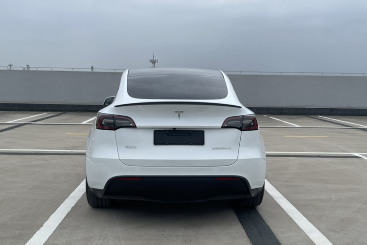 特斯拉 Model Y 2024款 Performance高性能版车身外观6006