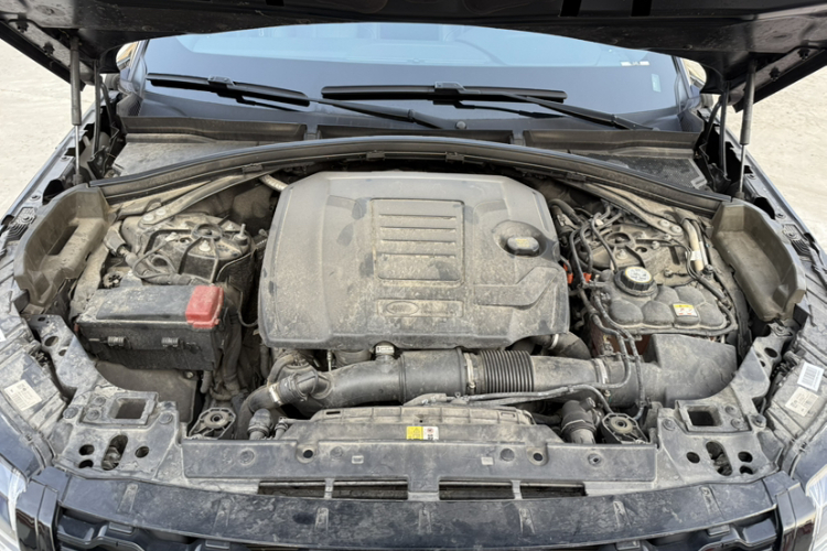 路虎 揽胜星脉 2022款 250PS 熠金珍藏版局部细节24