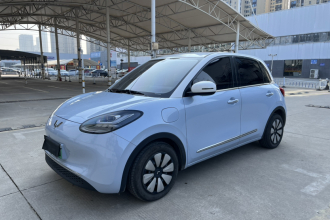 五菱汽车 五菱缤果 2024款 333km 悦享款