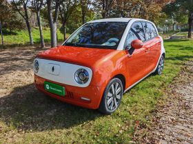 欧拉黑猫 2021款 351km 豪华型