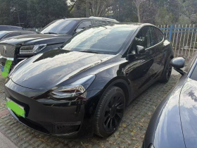 特斯拉 Model Y 2023款 长续航全轮驱动版