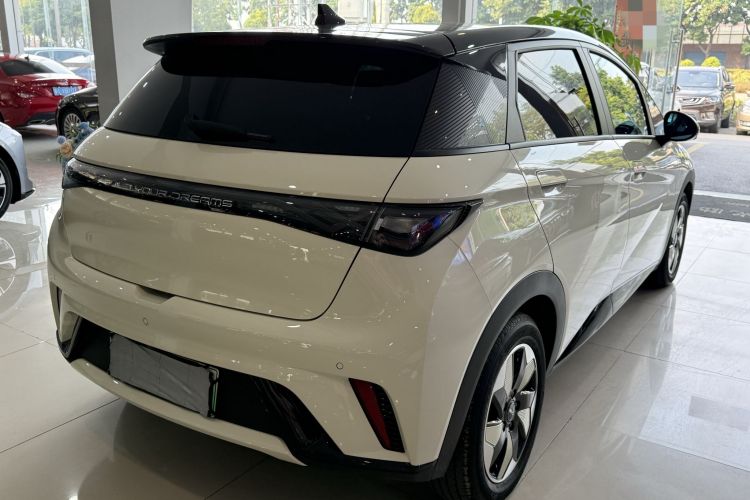 比亚迪 海豚 2024款 荣耀版 420km 时尚版车身外观6007