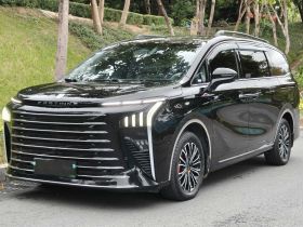 东风风行 星海V9 2024款 1.5TD 200km 青云梯系列 尊贵型