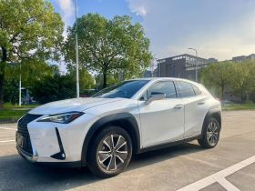 雷克萨斯UX新能源 2020款 300e 纯·享版