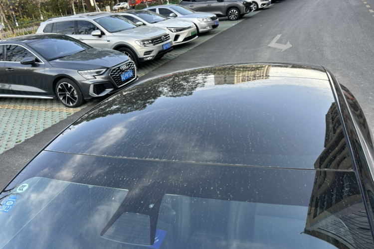 特斯拉 Model 3 2020款 标准续航后驱升级版车身外观6011