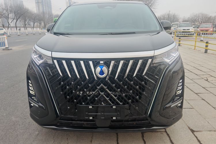 腾势D9 2022款 DM-i 1040 尊贵型车身外观6001