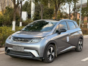 比亚迪 海豚 2023款 420km 时尚版