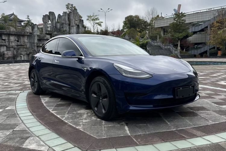 特斯拉 Model 3 2019款 标准续航后驱升级版车身外观6003