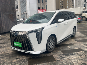 广汽传祺 传祺E9 2023款 E9 冠军版