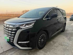 腾势D9 2024款 DM-i 1050 尊享型