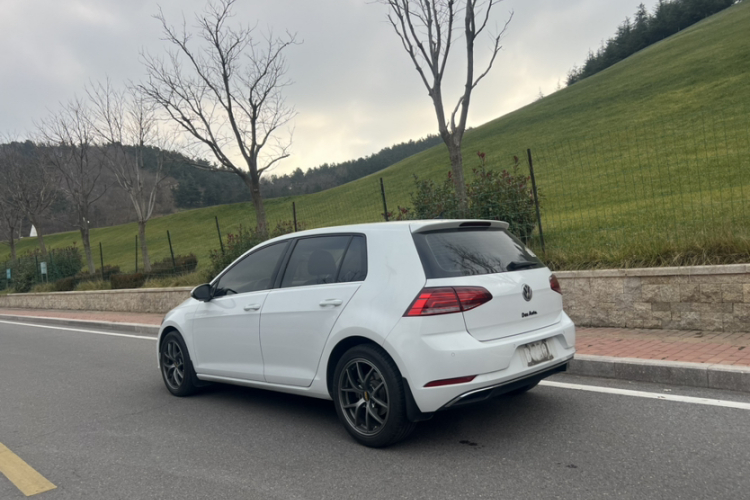 大众 高尔夫 2019款 280TSI DSG舒适型 国VI车身外观6007