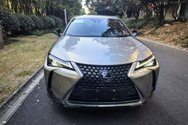 雷克萨斯UX新能源 2020款 300e 纯·悦版车身外观6002