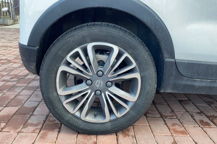 零跑汽车 零跑T03 2024款 310舒享版车身外观6008