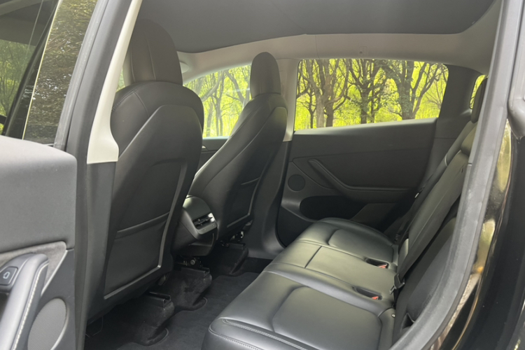 特斯拉 Model Y 2021款 Performance高性能全轮驱动版中控内饰7002