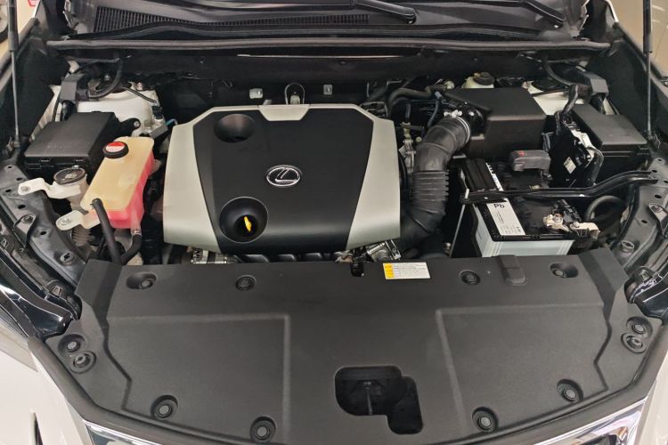 雷克萨斯NX 2016款 200 全驱 锋尚版局部细节9006