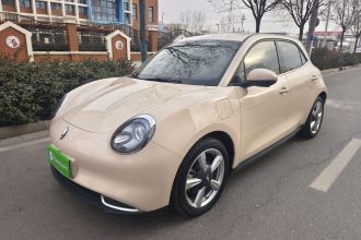 欧拉好猫 2023款 401km标准续航 尊荣型 磷酸铁锂