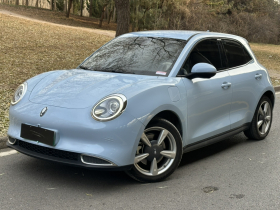 欧拉好猫 2022款 400km标准续航 豪华型 三元锂