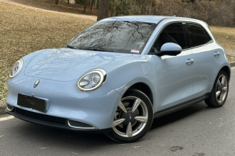 欧拉好猫 2022款 400km标准续航 豪华型 三元锂