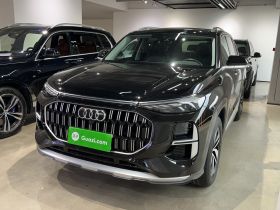 奥迪Q6 2023款 40 TFSI quattro 观云型 Light 羽林套装