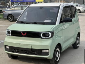 五菱汽车 宏光MINIEV 2021款 马卡龙臻享款 三元锂