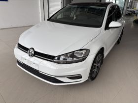 大众 高尔夫 2019款 280TSI DSG豪华型 国VI