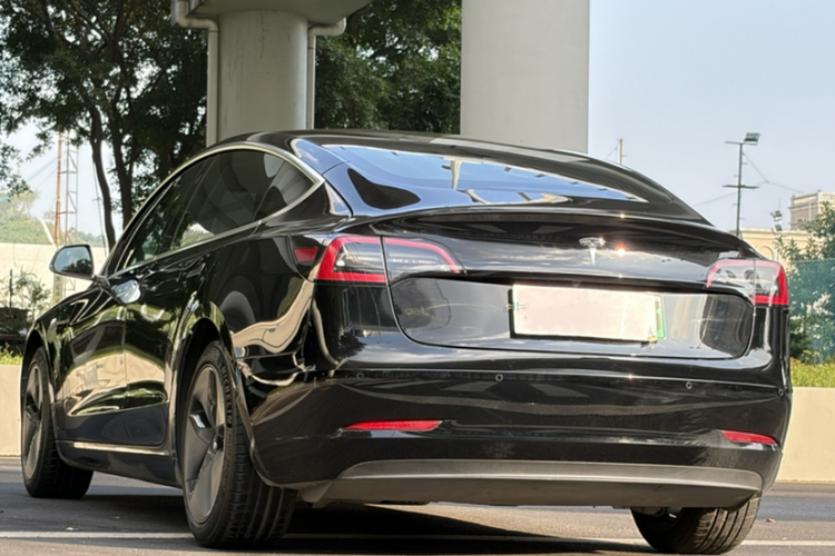 特斯拉 Model 3(进口) 2019款 长续航后驱版车身外观6005