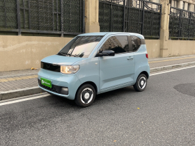 五菱汽车 宏光MINIEV 2022款 自在款 三元锂