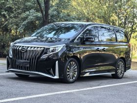 广汽传祺 传祺M8 2021款 大师系列 390T 至尊版