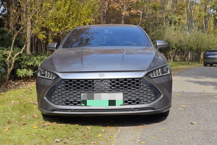 比亚迪 秦PLUS 2024款 荣耀版 DM-i 55KM领先型车身外观6004