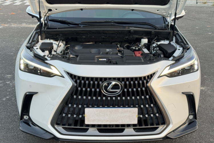 雷克萨斯NX 2022款 260 前驱 创悦版车身外观6008