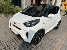 奇瑞 小蚂蚁 2019款 4座智享版 35kWh