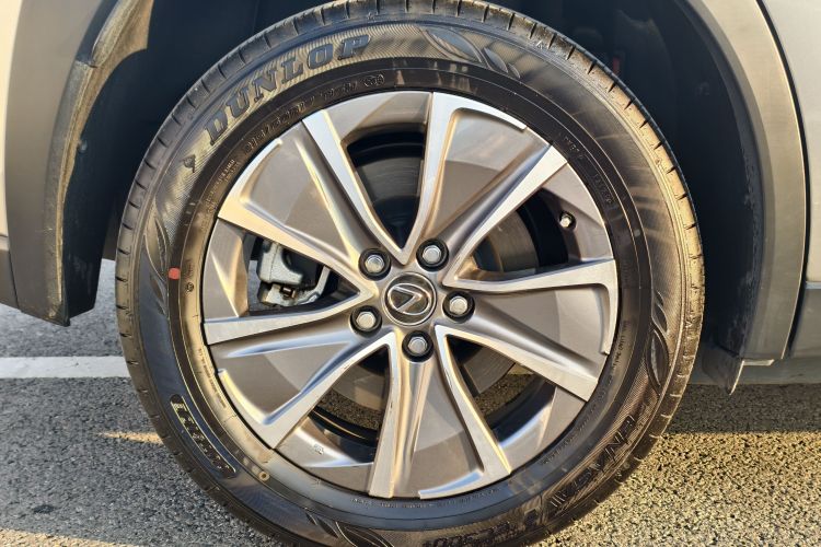 雷克萨斯UX新能源 2020款 300e 纯·悦版车身外观6008