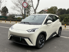 比亚迪 海鸥 2025款 405km 飞翔版