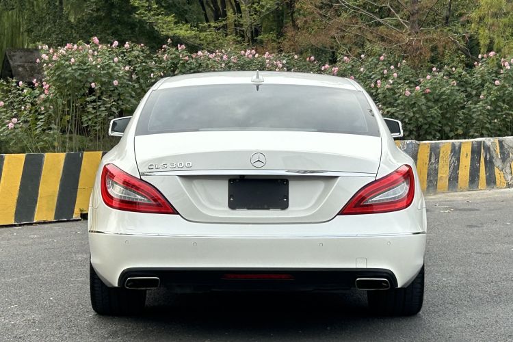 奔驰CLS 2012款 CLS 300 CGI车身外观6007