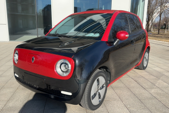 欧拉黑猫 2021款 301km 基础型