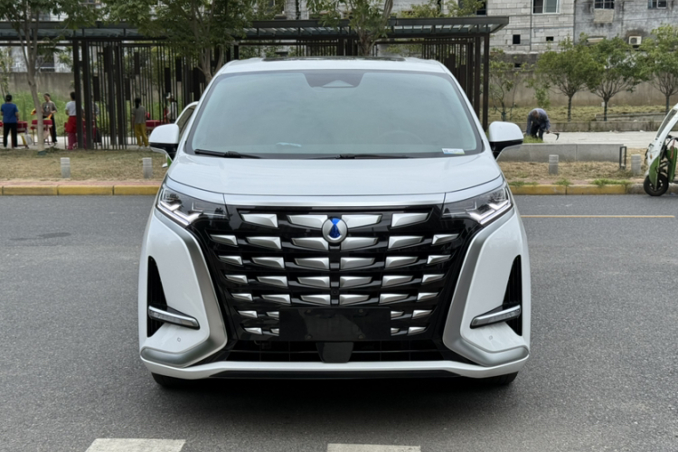 腾势D9 2022款 DM-i 1040 尊贵型车身外观6004