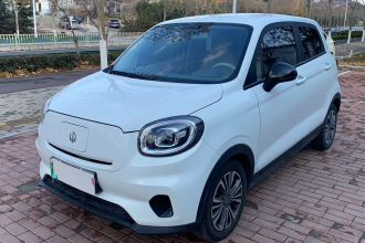 零跑汽车 零跑T03 2024款 310舒享版