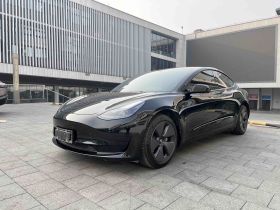 特斯拉 Model 3 2021款 标准续航后驱升级版 3D6