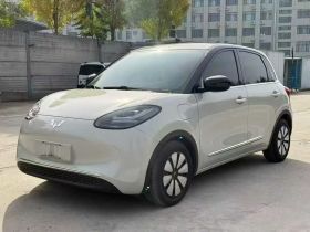 五菱汽车 五菱缤果 2024款 333km 悦享款