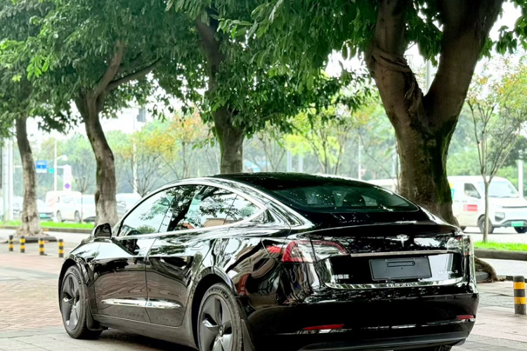 特斯拉 Model 3 2020款 改款 标准续航后驱升级版车身外观6009